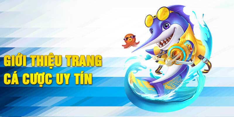 Giới thiệu 888now là nhà cá cược uy tín